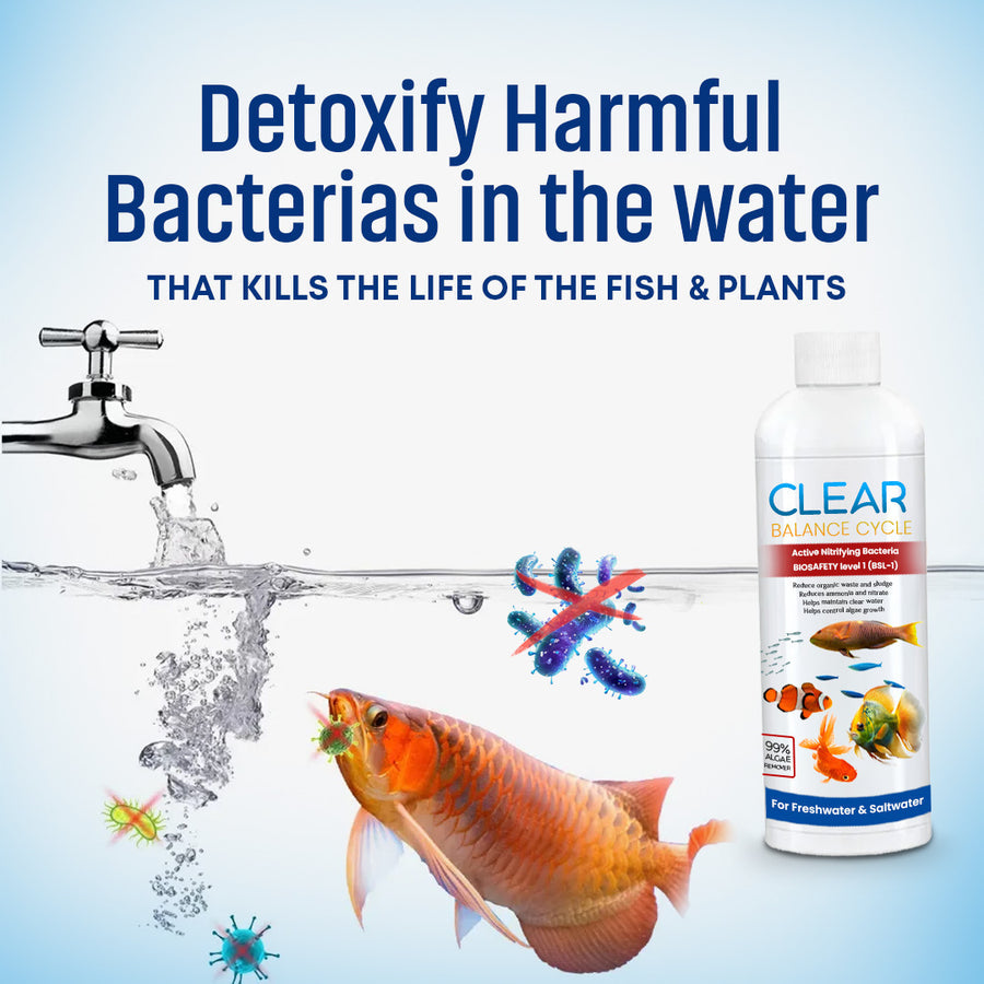 AquaClear™ Automatic Fish Tank Cleaner – ( Pack of 3 Bottles 🔥)