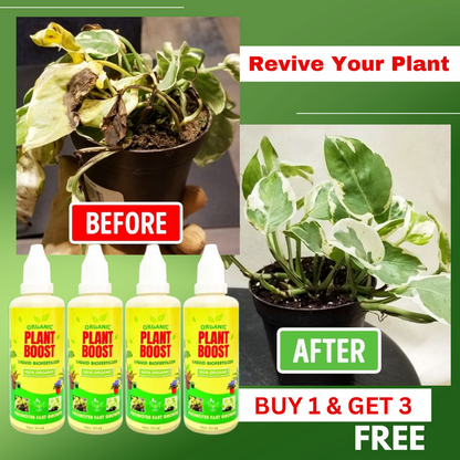 Organic Plant Boost Liquid Bio Fertilizer (Buy 1 Get 3 FREE 🔥 )