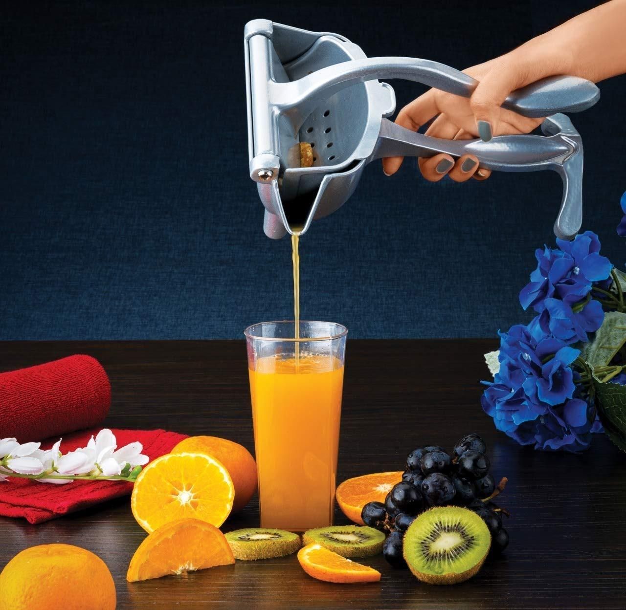 Hand Press Fruit Juicer