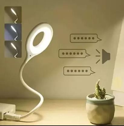 Voice Activated USB Light